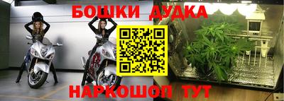 прущие грибы Бийск