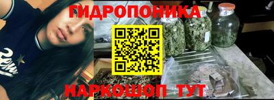 прущие грибы Бийск