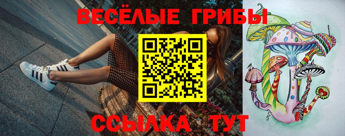 Кандалакша  Галлюциногенные грибы Magic Shrooms  Вход с VPN  Галлюциногенные грибы Psilocybine cubensis 